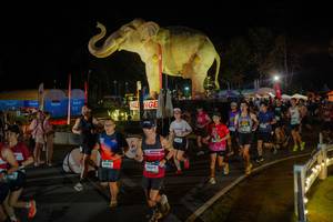 BIB: 
                            <button type="button" onclick="openModal(26552296)" class="btn btn-primary btn-sm float-right btn-popup" data-toggle="modal" data-target=".modal-high-quality">
                        <i class="fas fa-shopping-cart"></i> Add to Cart
                    </button>
                                            <button type="button" onclick="isThisMe(26552296, true)" class="btn btn-success btn-sm float-right btn-popup btn-isme hidden" data-toggle="tooltip" data-placement="bottom" title="นี่คือรูปของคุณใช่ไหม คลิกที่นี่เพื่อเอาเข้าอัลบั้ม">
                        <i class="fas fa-plus"></i> Add to album
                    </button>
                    <button type="button" onclick="isThisMe(26552296, false)" class="btn btn-warning btn-sm float-right btn-popup btn-isnotme hidden">
                        <i class="fas fa-ban"></i> Remove from album
                    </button>